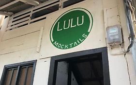Lulu House & Art